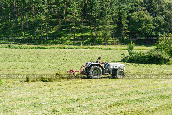 Drying grass with a tractor. Стоковое фото, фотограф YuryKara / Фотобанк Лори