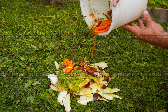 Ecology compost supply - kitchen waste recycling in backyard composter. Environmentally friendly lifestyle. The man throws leftover vegetables from the bowl. Стоковое фото, фотограф Ирина Старикова / Фотобанк Лори