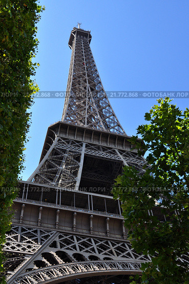 Эйфелева башня (la Tour Eiffel), вид с Марсова поля, Париж, Франция (2013 год). Стоковое фото, фотограф Дарья Кравченко / Фотобанк Лори