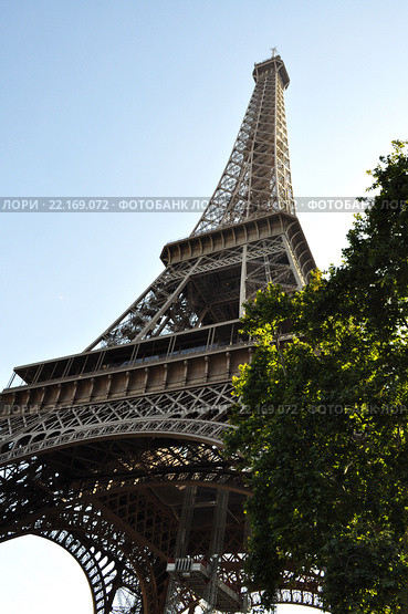 Эйфелева башня (la Tour Eiffel), вид с Марсова поля (Champ de Mars), Париж, Франция (2013 год). Стоковое фото, фотограф Дарья Кравченко / Фотобанк Лори