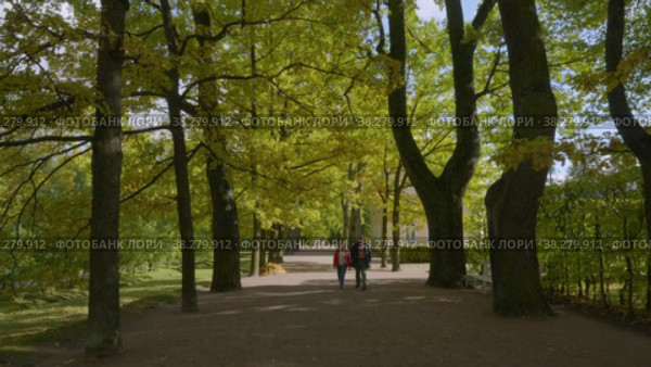 Екатерининский парк (Царское Село). Дубовая аллея. Catherine Park (Tsarskoye Selo). Oak Alley. (2021 год). Редакционное видео, видеограф Евгений Романов / Фотобанк Лори