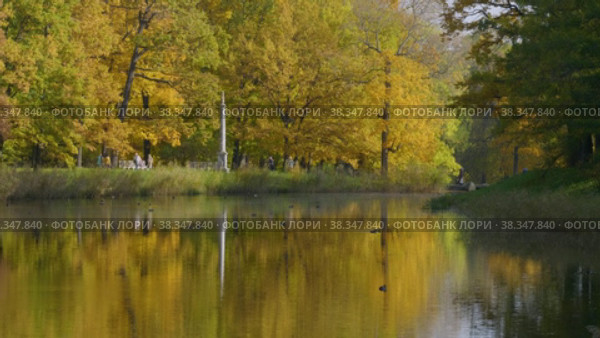 Екатерининский парк (Царское Село). Первый пруд Большого каскада. Catherine Park (Tsarskoye Selo). The First Pond of the Grand Cascade. (2021 год). Редакционное видео, видеограф Евгений Романов / Фотобанк Лори