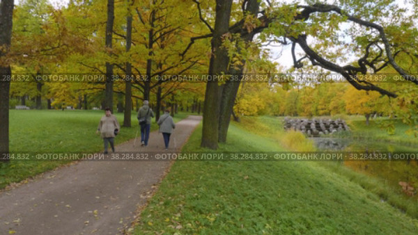Екатерининский парк (Царское Село). Второй пруд Большого каскада. Catherine Park (Tsarskoye Selo). The second pond of the Grand Cascade. (2021 год). Редакционное видео, видеограф Евгений Романов / Фотобанк Лори