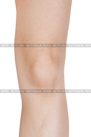 Elbow female legs on a white background. Стоковое фото, фотограф Дмитрий Киселёв / Фотобанк Лори