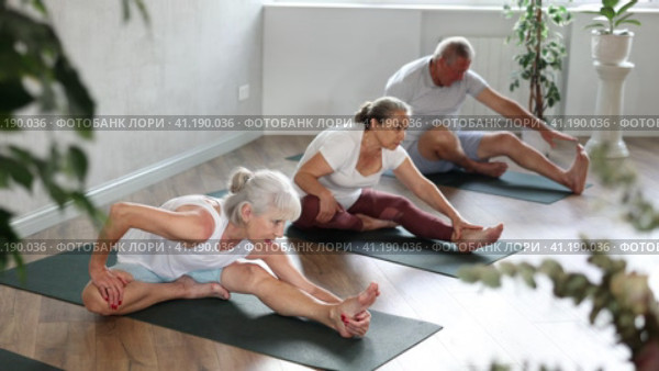 Elderly woman stretches and prepares to perform Jana Shirshasana. Стоковое видео, видеограф Яков Филимонов / Фотобанк Лори
