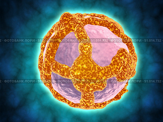 Electron micrograph of negative-stained Prochlorococcus. Стоковое фото, фотограф Stocktrek Images, Inc. / ТАСС / Фотобанк Лори
