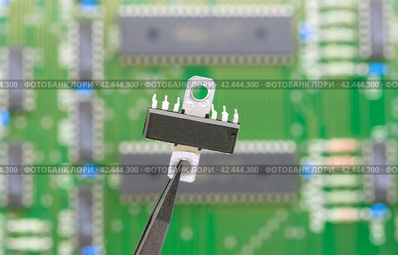 Электронный компонент удерживается в пинцете на фоне печатной платы. Electronic component held with tweezers. Стоковое фото, фотограф Татьяна Д / Фотобанк Лори