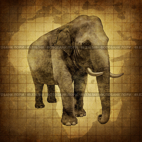 Elephant on old grunch textured parchment paper with a map of Africa as a symbol of wisdom and intelligence with a huge african wilderness pachyderm as an icon of nature and conservation. Стоковое фото, агентство Ingram Publishing / Фотобанк Лори