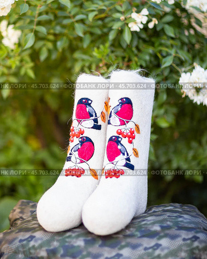 Embroidered valenki on a background of garden flowers (2020 год). Редакционное фото, фотограф Андриян Григорьевич Чаркин / Фотобанк Лори