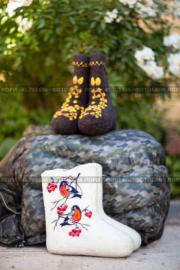 Embroidered valenki on a background of garden flowers (2020 год). Редакционное фото, фотограф Андриян Григорьевич Чаркин / Фотобанк Лори