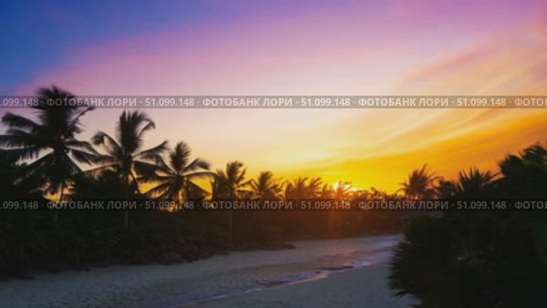 Enjoy a breathtaking sunset illuminating the tropical beach with palm tree silhouettes in the Maldives. Стоковое AI-видео, аниматор Данила Большаков / Фотобанк Лори