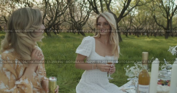Enjoying an Elegant Outdoor Picnic with Friends in a Beautifully Serene Orchard Setting. Стоковое видео, видеограф Cantemir Dumitru / Фотобанк Лори
