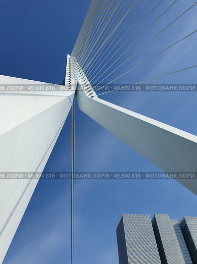 Erasmus bridge over Meuse river in Rotterdam, the Netherlands. Abstract architecture details over blue sky background. Erasmusbrug called the swan, 284m long, designed by Ben van Berkel. Стоковое фото, агентство Ingram Publishing / Фотобанк Лори