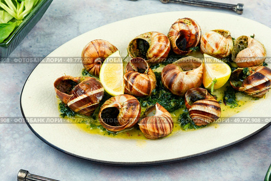 Escargots de Bourgogne, baked snails with garlic, butter and greens. French traditional food.. Mediterranean escargot delicacy snails. Стоковое фото, агентство Ingram Publishing / Фотобанк Лори
