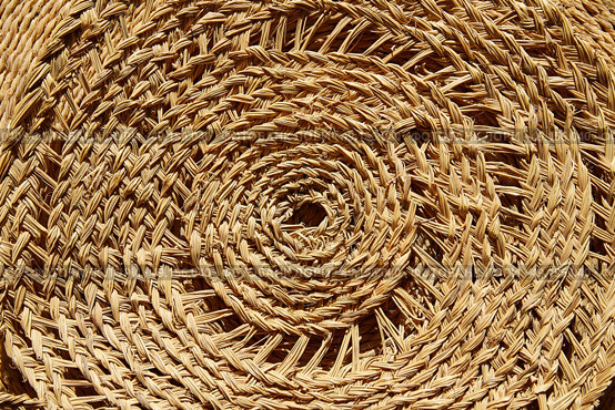 Esparto halfah grass used for crafts as cords basketry and espadrilles. Стоковое фото, агентство Ingram Publishing / Фотобанк Лори