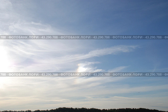 Evening sky over the forest. Стоковое фото, фотограф Andrew_Swarga / Фотобанк Лори