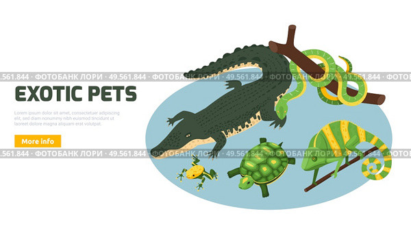 Exotic pets animals amphibian reptile online shop banner with alligator turtle chameleon isometric circular composition vector illustration. Стоковая иллюстрация, агентство Ingram Publishing / Фотобанк Лори