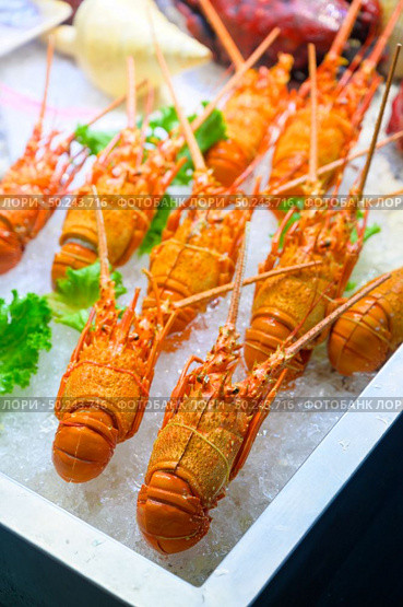 Expensive food, fresh lobster on the ice. Стоковое фото, агентство Ingram Publishing / Фотобанк Лори