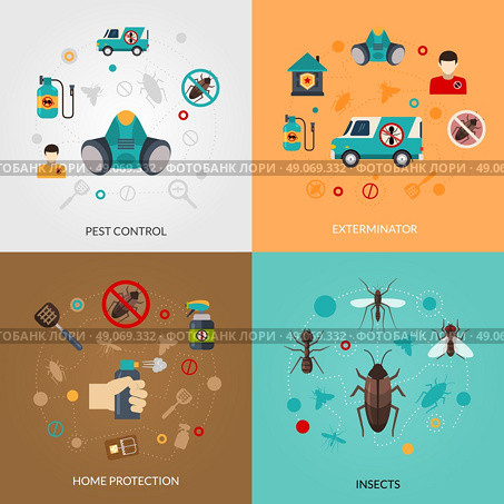 Exterminator Pest Contro 4 Flat Icons.  Home pest control services 4 flat icons square composition for detecting exterminating insects and rodents abstract isolated vector illustration. Стоковое фото, агентство Ingram Publishing / Фотобанк Лори