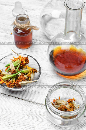 Extract from marigolds. Medical extract decoction from the flowers of marigold. Стоковое фото, агентство Ingram Publishing / Фотобанк Лори