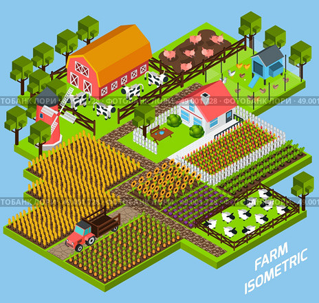 Farm complex isometric blocks composition. Farm complex constructive toy blocks composition with farmhouse backyard surrounded by fiels and pasture isometric vector illustration. Стоковая иллюстрация, агентство Ingram Publishing / Фотобанк Лори