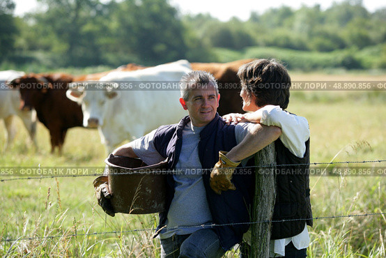 Farmer couple tending to cows. Стоковое фото, агентство Ingram Publishing / Фотобанк Лори