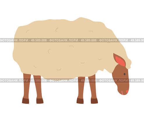 Farming vector, sheep isolated lamb with wool flat style character, cute fluffy animal on farm standing in farmyard, domestic pet breeding and caring. Sheep with Fluffy Wool, Small Young Lamb Vector. Стоковая иллюстрация, агентство Ingram Publishing / Фотобанк Лори