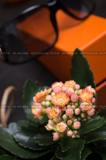 fashion lady set with fragrance and flower around black background. Стоковое фото, агентство Ingram Publishing / Фотобанк Лори