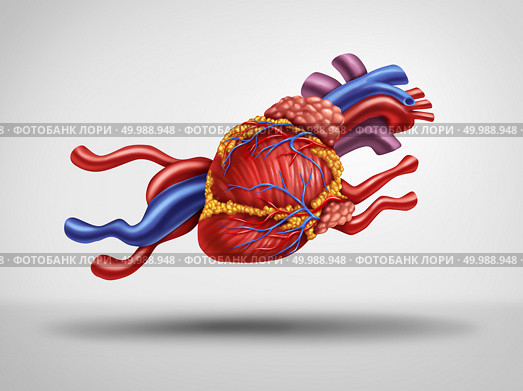 Fast Heart and rapid heartbeat or pulse as a cardiology medical concept as a human circulatory organ shaped as a running animal as a cardiac fatigue idea with 3D illustration elements. Стоковое фото, агентство Ingram Publishing / Фотобанк Лори