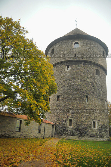 Fat Margarita is the tower of the Tallinn City Wall, located at the end of Pikk Street. The gun tower with 155 loopholes was built at the beginning of the 16th century in front of the Great Sea Gate. (2014 год). Редакционное фото, фотограф Анна Кривицкая / Фотобанк Лори