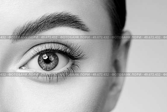 Female Eye with Extreme Long False Eyelashes. Eyelash Extensions. Makeup, Cosmetics, Beauty. Close up, Macro. Стоковое фото, агентство Ingram Publishing / Фотобанк Лори