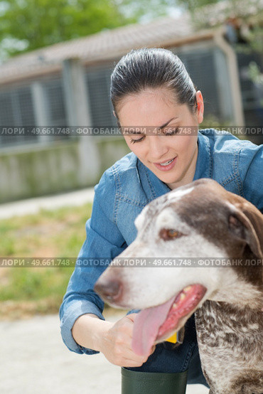 female vet stroking dog at animal shelter. Стоковое фото, агентство Ingram Publishing / Фотобанк Лори