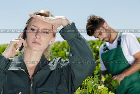 female wineyard worker talking about an issue on the phone. Стоковое фото, агентство Ingram Publishing / Фотобанк Лори