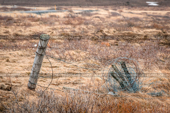 Fence with barb wire on a field in the fall. Стоковое фото, агентство Ingram Publishing / Фотобанк Лори