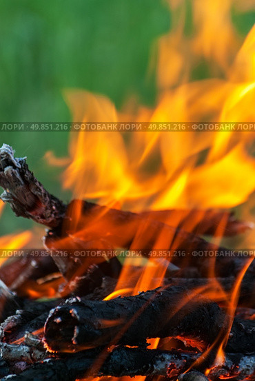 fire on burning woods. Стоковое фото, агентство Ingram Publishing / Фотобанк Лори