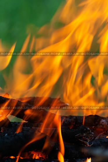 fire on burning woods. Стоковое фото, агентство Ingram Publishing / Фотобанк Лори
