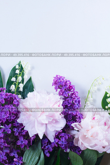 Floral border of fresh flowers - lilac, peonies and lilly of the walley flowers close up, flat lay scene. Floral borders on white. Стоковое фото, агентство Ingram Publishing / Фотобанк Лори