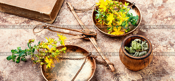 Flowering medicinal hypericum on medical scales.Medicinal herbs. Hypericum medicinal plant. Стоковое фото, агентство Ingram Publishing / Фотобанк Лори