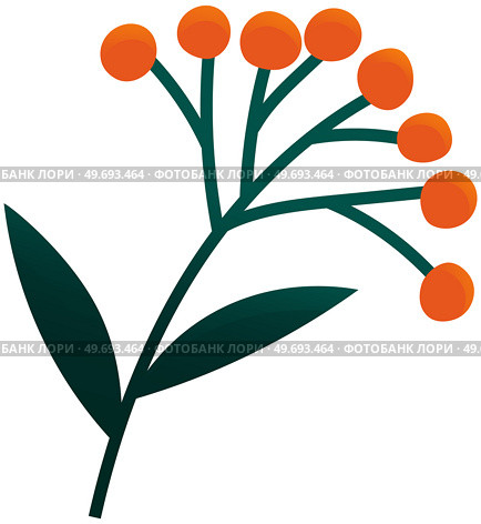 Flowering stalk of orange rape flowers. Wild field grass. Small ripe berries on branch in garden. Spring blossom element for card design. Delicate flowers with green leaves vector isolated on white. Flowering stalk of orange rape flowers. Wild field grass. Small ripe berries on branch in garden. Стоковая иллюстрация, агентство Ingram Publishing / Фотобанк Лори