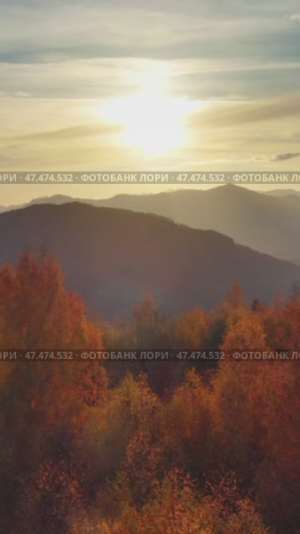 Flying over colorful foliage at sunset in mountains. Стоковое видео, видеограф Михаил Коханчиков / Фотобанк Лори