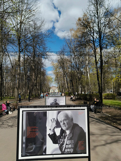 Фотографии умерших ветеранов, участников великой отечественной войны во время празднования дня победы 9 мая в городе Кирове в Александровском саду. Редакционное фото, фотограф Светлана Русских / Фотобанк Лори