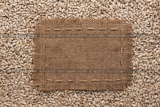 Frame made of burlap with the line lies on  sunflower seeds. Стоковое фото, фотограф Александр Собко / Фотобанк Лори
