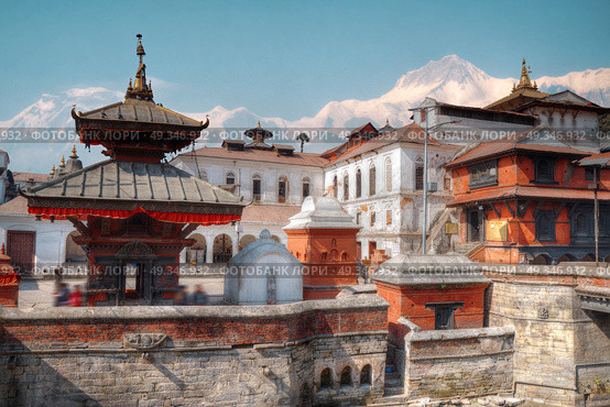 Freely walk monkey. Votive temples and shrines in a row at Pashupatinath Temple, Kathmandu, Nepal. Стоковое фото, агентство Ingram Publishing / Фотобанк Лори