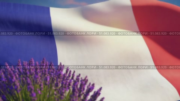French flag waving gently in the breeze, surrounded by blooming lavender flowers. A clear blue sky enhances the vibrant colors of the flag. Стоковое AI-видео, аниматор Nart / Фотобанк Лори