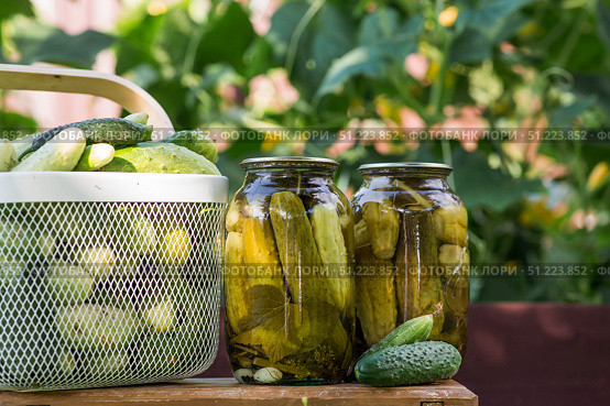Fresh cucumbers in a basket and crispy pickled cucumbers in a transparent glass jar. Pickled cucumbers with dill and garlic. Delicious canned vegetables. Cucumbers for the winter. Стоковое фото, фотограф Photojuli / Фотобанк Лори