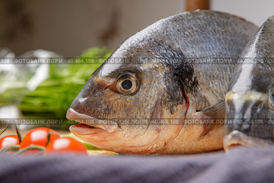 Fresh dorado fish, on a wooden board, two heads close-up. Стоковое фото, фотограф Юрий Поздников / Фотобанк Лори