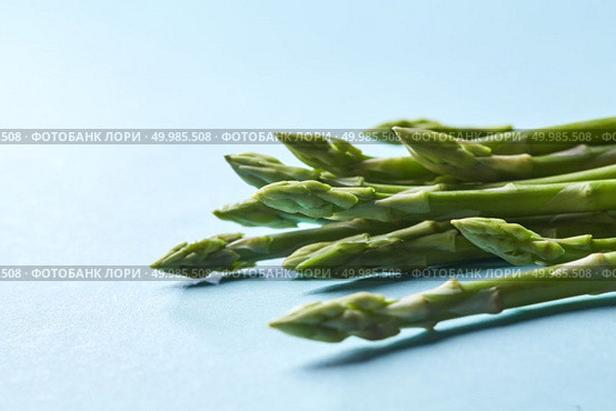Fresh green asparagus on blue background. Healthy eatingand fall harvest, agricultural farming concept. Healthy organic green asparagus stalks ready to cook on blue background. Стоковое фото, агентство Ingram Publishing / Фотобанк Лори