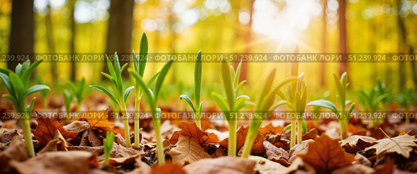 Fresh green sprouts emerge from fallen leaves in a sunlit forest during early spring. Стоковое AI-изображение, AI-художник Ольга Невская / Фотобанк Лори
