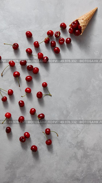 Fresh organic cherries are poured from a waffle horn on a gray stone background with copy space. Flat lay. Summer concept of homemade desserts.. Summer colorful pattern of red natural organic fruit cherry with waffle cone on a gray concrete. Стоковое фото, агентство Ingram Publishing / Фотобанк Лори