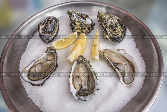 Fresh oysters and lemon on ice in metal plate. Стоковое фото, фотограф Iva Noel / Фотобанк Лори